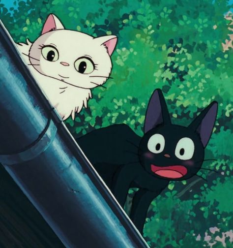 Kikis Delivery Service, Cartoon Cats, Studio Ghibli Art, Cat Icon, Ghibli Art, Art Cat, Delivery Service, Studio Ghibli, Instagram