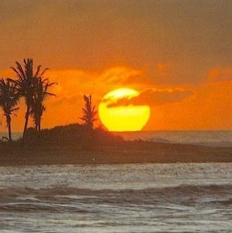 The Ocean, Palm Trees, The Sun, Trees, Sun, Tumblr, Orange