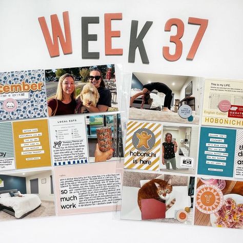 Linda on Instagram: "Project Life 2022 // Week of September 12 - 18. For this week I used the @studio_calico documenter kit for the month of September. I loved this kit and had fun playing with some of the filler cards + other elements to cover up my lack of photo taking this week! I have a video up on my youtube channel sharing my process. ⠀⠀⠀⠀⠀⠀⠀⠀⠀ #madewithsc #lindalovesprojectlife #projectlife #pocketpages #scrapbook #scrapbooking" Studio Calico Project Life, Month Of September, Studio Calico, Project Life, My Youtube Channel, A Video, Youtube Channel, Cover Up, Scrapbooking