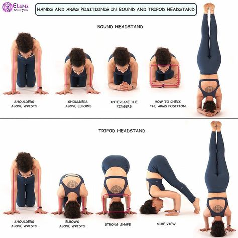 Headstand Prep Poses, Yoga Tripod Headstand, Tripod Headstand, Yoga Sun Salutation, Yoga Headstand, Calisthenics Workout For Beginners, Female Fitness Models, Standing Yoga Poses, Headstand Yoga