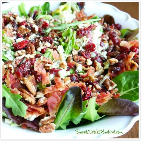 My Most Requested Recipe ~ Gorgonzola, Apple, Cherries, Pecans & Bacon Salad with a Sweet Balsamic Dressing! Bacon Salad, Beef Salad, Balsamic Dressing, Spring Salad, Recipes Salads, Dried Cherries, Salad Dressings, Pecans, Summer Salads