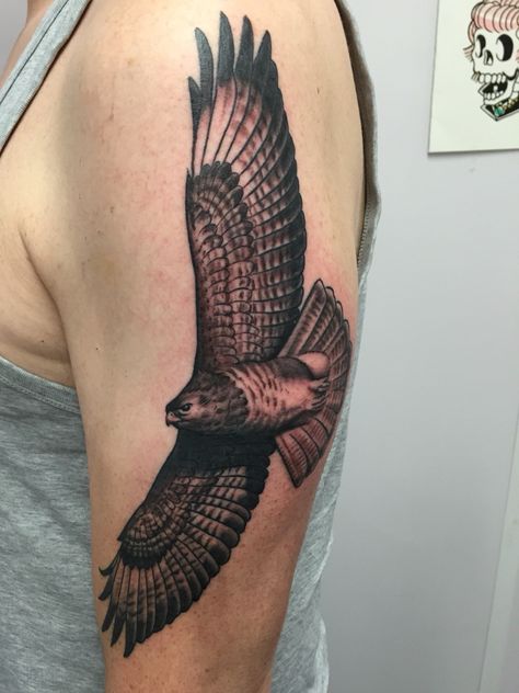 Buzzard tattoo Buzzard Tattoo, Eagle Tattoo Arm, Small Eagle Tattoo, Falcon Tattoo, Dainty Tattoo, Hawk Tattoo, Stomach Tattoo, Bird Tattoos, Body Decoration