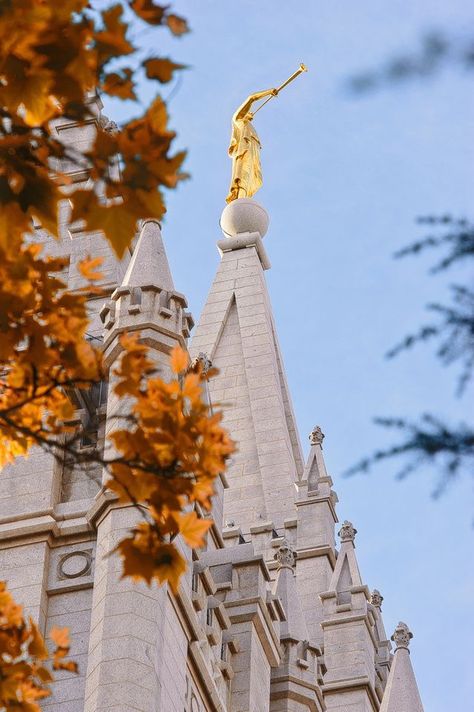 Lds Temple Wallpaper Fall, Lds Iphone Wallpaper, Temple Images, Book Of Mormon Scriptures, Lds Pictures, Angel Moroni, Lds Temple Pictures, Mormon Art, Church Aesthetic