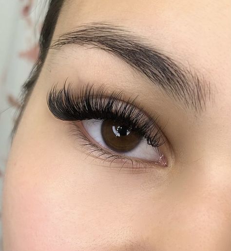 Thick Cat Eye Lash Extensions, Thick Eyelash Extensions, Kim K Lashes, Eyelash Extensions Volume, Lash Extensions Volume, Hybrid Lash Extensions, Natural Fake Eyelashes, Lash Extentions, Short Eyelashes