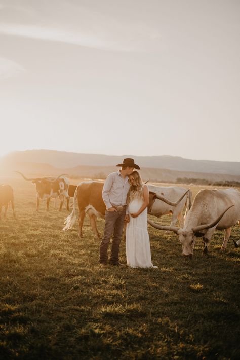 Western maternity photos with longhorns western couple cows cattle long horns western photoshoot ideas Maternity Pictures With Longhorn, Cattle Couple Photoshoot, Western Outfit Maternity, Country Couple Maternity Pictures, Ranch Maternity Photoshoot, Wedding Photos With Cows, Western Fall Maternity Pictures, Cattle Family Pictures, Cow Field Photoshoot