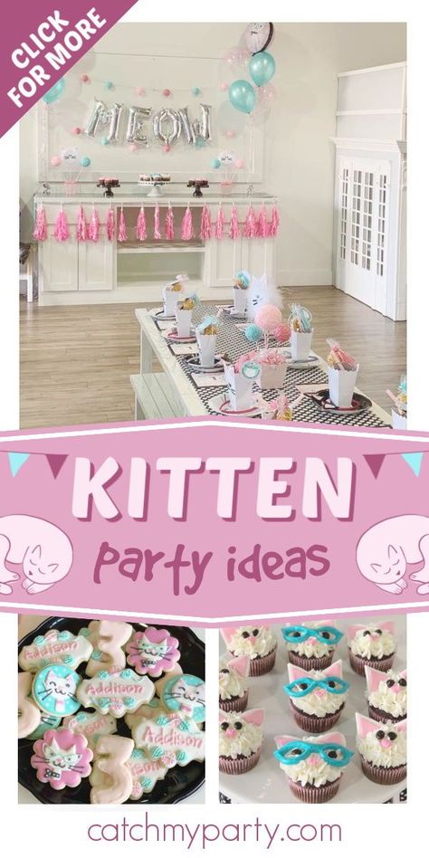 Kitten Birthday Party Decorations, Rainbow Cat Birthday Party, Cat Party Food, Cat Birthday Party Ideas, Kitty Cat Birthday Party, Animal Rescue Fundraising, Kitty Cat Party, Birthday Kitty, Kitten Birthday Party