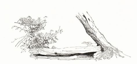 Sketch - Fallen Log Fallen Tree Drawing, Log Sketch, Log Drawing, Ink Drawing Techniques, Tree Logs, Architectural Sketches, Fallen Tree, Illustration Book, Cad Blocks