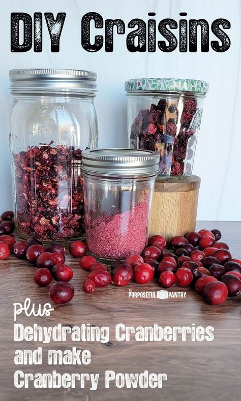 Dehydrate Pineapple In Dehydrator, Things To Make In A Dehydrator, Drying Cranberries In Dehydrator, Dehydrating Cranberries In Dehydrator, How To Dehydrate Cranberries, Dehydrated Oregano, Dehydrator Herbs, Dehydrate Cranberries, Dehydrating Cranberries