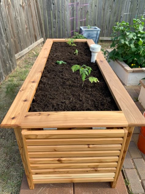 Diy Self Watering, Vegetable Planter Boxes, Watering Raised Garden Beds, Diy Self Watering Planter, Planter Box Plans, Raised Garden Bed Plans, Cedar Raised Garden Beds, Raised Planter Boxes, Garden Boxes Raised