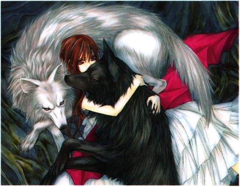 Vampire Knight Wolf | Straight-Up Mentally Unstable • bunnitron: Illustration from Vampire ... Vampire Knight Zero, Vampire Knight Kaname, Vampire Knight Yuki, Vampire Knight Manga, Yuki Kuran, Matsuri Hino, Kaname Kuran, Vampire Knights, Vampire Knight