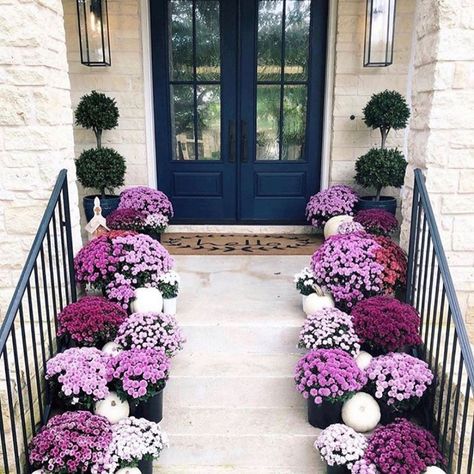 Hadley James on Instagram: “Some major Fall inspiration for decorating your front porch!🍁 @lizleewhite @heatherscotthome @kelleynan @tatertotsandjello…” Purple Mums, House Ranch, Container Garden Design, Homecoming Mums Diy, Fall Decor Inspiration, Fall Front Porch Decor, Garden Wallpaper, Halloween Tattoo, Small Front Porches