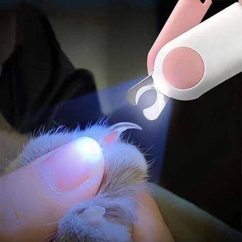 Cat Nail Clippers, Dog Nail Clippers, Cat Nail, Animals Care, Dog Nails, Cat Nails, Dog Items, Trim Nails, Bright Led Lights