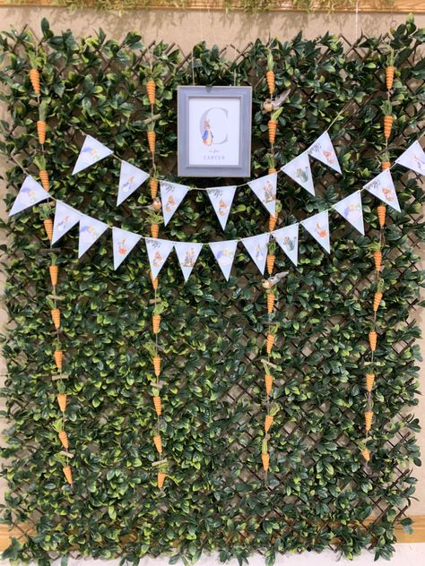 Peter Rabbit Photo Backdrop, Peter Rabbit High Chair Banner, Peter Rabbit Birthday Balloons, Peter Rabbit Baby Shower Balloons, Petter Rabbit Birthday Party Decor, Rabbit Photos, Peter Rabbit, Photo Backdrop, Boy Shower