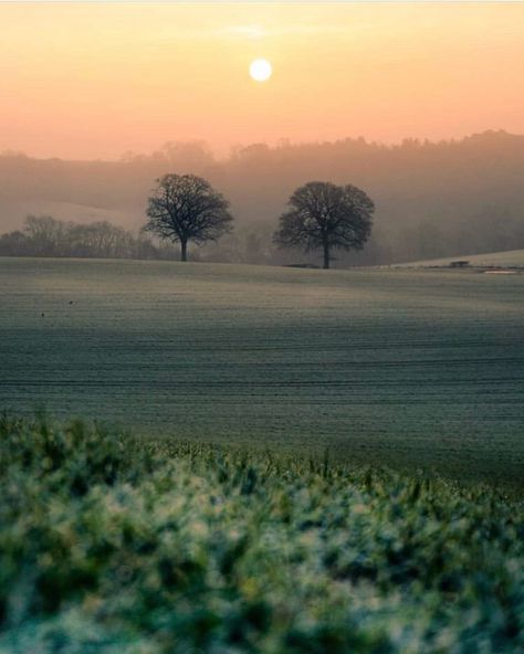 Glorious Britain on Instagram: “A hazy day in ‘Surrey Hills’, an Area of Outstanding Natural Beauty in, well, Surrey! Did you know that Surrey Hills actually covers a…” Surrey Hills England, Surrey Aesthetic, Wolf And Sheep, European Nature, English Journal, 2024 Moodboard, England Countryside, England Aesthetic, All Airlines