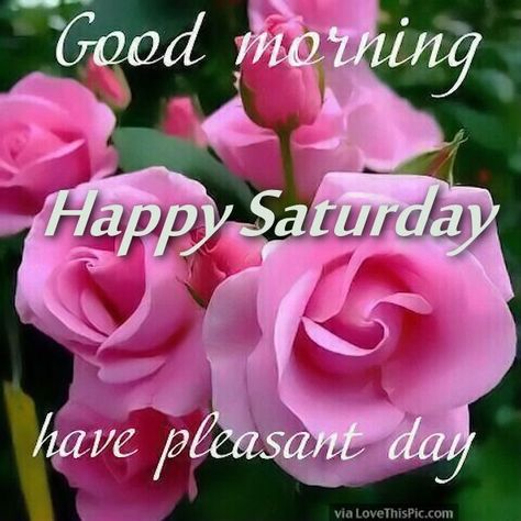 Good Morning Happy Saturday Have A Pleasant Day Have A Pleasant Day, Good Morning Time, Good Morning Saturday Images, Happy Saturday Quotes, Happy Saturday Morning, Saturday Greetings, Good Morning Happy Saturday, Good Day To You, Good Morning Saturday