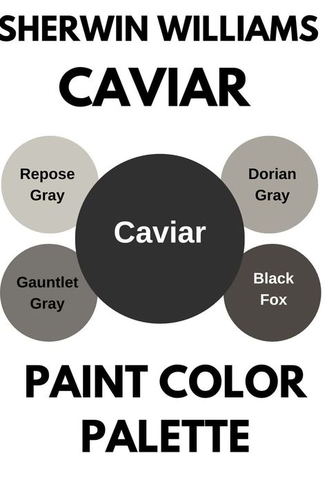 Sherwin Williams Caviar SW 6990 Caviar Paint Sherwin Williams, Black Magic Sherwin Williams, Caviar Sherwin Williams, Foyer Paint, Light Paint Colors, Sherwin Williams Color Palette, Black Paint Color, Dark Paint Colors, Paint Color Inspiration