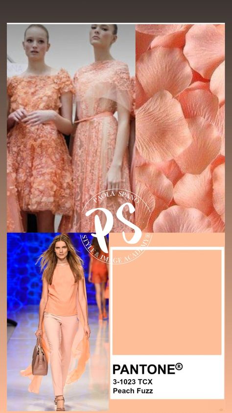 Pantone 2024, White Instagram, Black And White Instagram, Orange Skin, Pinkish Orange, Colour Story, Peach Aesthetic, Color Trends Fashion, Hand Pictures