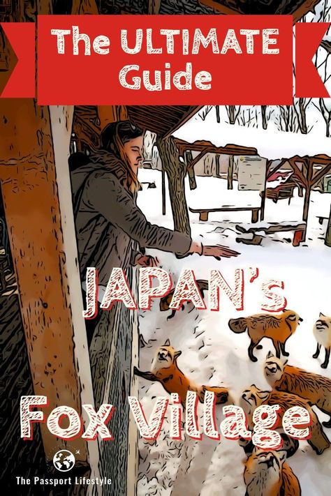 The ultimate guide to Zao Fox Village Japan, the cutest place in the world. How to travel one of Japan's cutest places from Tokyo on a day trip. This is truly one of the coolest things to do in Japan.  | thepassportlifestyle.com #japan #tokyo #tokyotravel #japantravel #traveltips #bucketlist #travel #traveling #thepassportlifestyle #weirdtokyo Fox Village Japan, Diy Japanese Garden, Village Japan, Japanese Garden Ideas, Beautiful Japanese Gardens, Tokyo Photography, Things To Do In Tokyo, Places In Tokyo, Tokyo Travel Guide