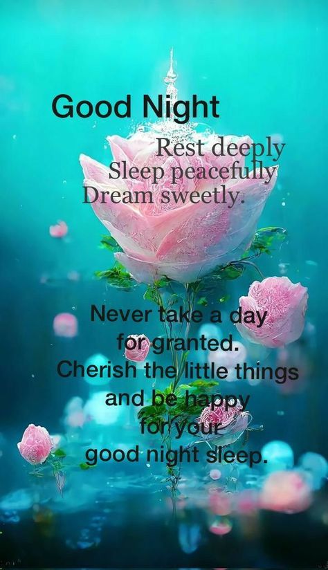 Cute Ways To Say Goodnight, Good Night Sweet Dreams Friends, Ways To Say Goodnight, Inspirational Good Night Messages, Goodnight Blessings, Beautiful Good Night Messages, Goodnight Images, Good Night Blessings Quotes, Have A Blessed Night