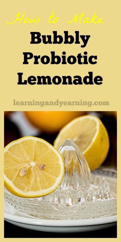 Bubbly Probiotic Lemonade Probiotic Lemonade, Glass Of Lemonade, Probiotic Drinks, Fermentation Recipes, Best Probiotic, Fermented Vegetables, Fermented Drink, Probiotic Foods, New Dimension