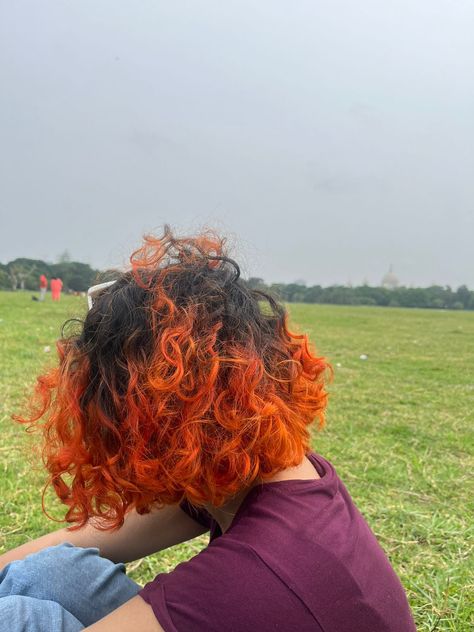 Curly short hair colour orange Orange Dyed Curly Hair, Orange And Black Curly Hair, Short Curly Orange Hair, Hair Colour Orange, Orange Dyed Hair, Short Hair Colour, Curly Orange Hair, Orange Curly Hair, Under Hair Dye