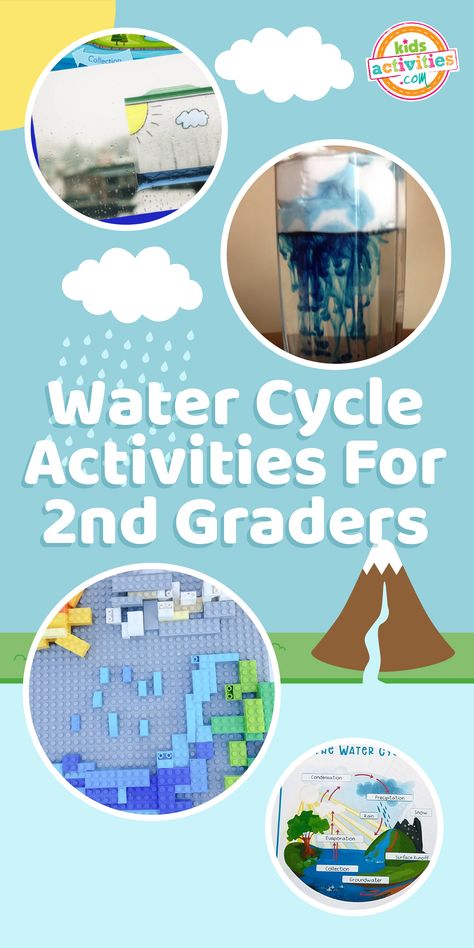 Enjoy our compilation of the best water cycle activities for second graders.