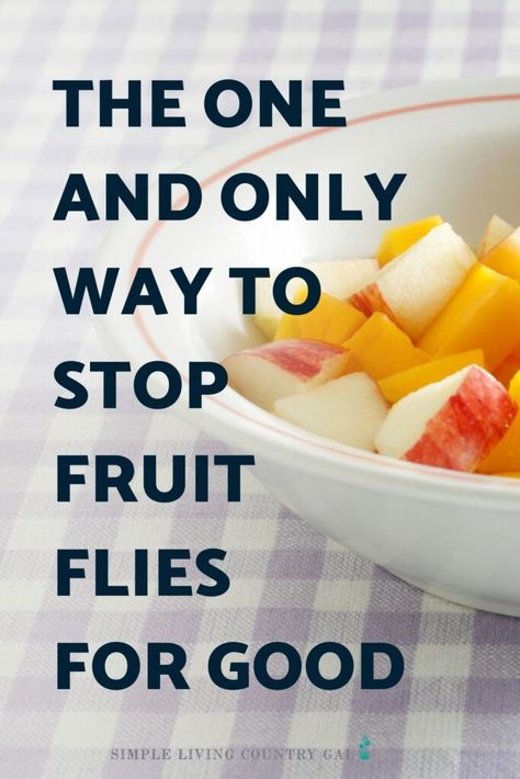 How To Repel Flies, Fruit Fly Spray, Killing Fruit Flies, Catch Fruit Flies, Homemade Fruit Fly Trap, Fruit Fly Killer, Fruit Flies In House, Fruit Fly Trap Diy, Repel Flies