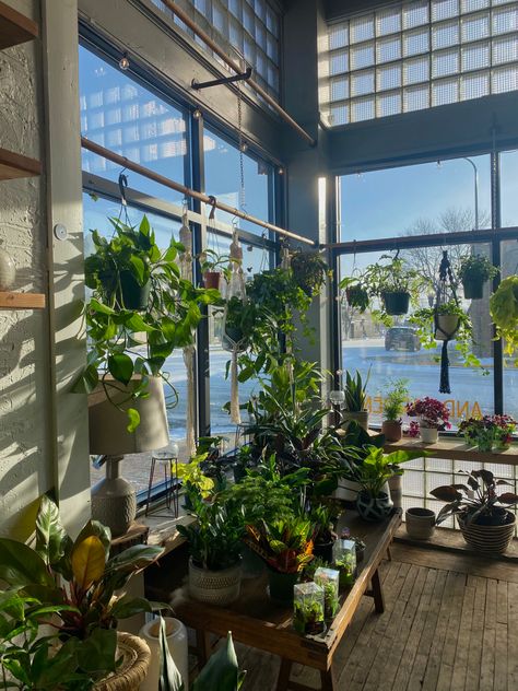 plant store | plant | plants | green | plant aesthetic | houseplant | houseplants | houseplabr aesthetic Plant Dad Aesthetic, Green Plant Aesthetic, Finn Aesthetic, Plant Mom Aesthetic, Dad Aesthetic, Plant Store, Plants Aesthetic, Sci Fi City, Plant Decoration