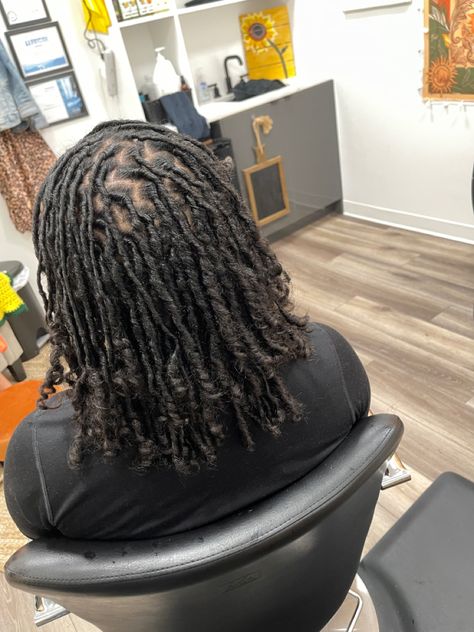 Starter Locs On 3b Hair, Medium Sized Starter Locs, Locs On 3c Hair, Locs Starter On 4c/4b Hair, 6 Month Starter Locs, 3b Locs, 3c Locs, Starter Locs On 3b/3c Hair, Starter Locs 2 Months