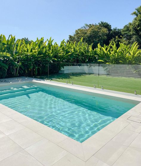 It’s been a hot minute! Last weekend, the sun was shining, the birds were singing and the pool looked like this (bliss 😮). I realised I… | Instagram Coastal Pool Area, Quantum Quartz, Small Backyard Pool Ideas, Concrete Pools, Small Backyard Pool, Backyard Pool Ideas, Luxury Pools Backyard, Pool Paving, Backyard Pool Design