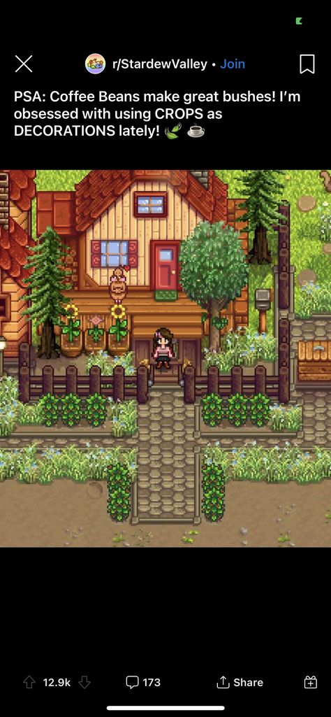 Stardew Valley Painted House, Stardew Starter Farm, Hot Stardew Valley Fanart, Stardew Valley Seasonal Plants, Sdv Four Corners Farm, Cubby Stardew Valley, Stardew Valley Layout Aesthetic, Stardew Valley Tiny Farm, Stardew Valley Farm Design Ideas