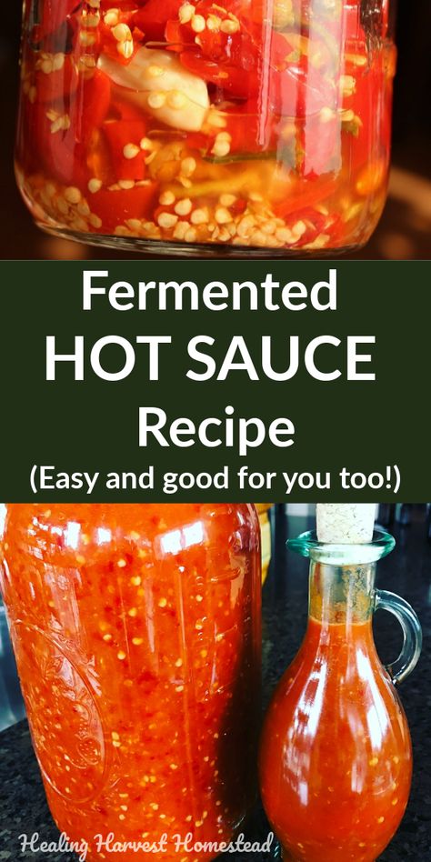 Fermented Cayenne Hot Sauce, Fermenting Hot Peppers, Fermented Peppers Hot Sauces, Making Hot Sauce, Homemade Fermented Hot Sauce, Make Your Own Hot Sauce, Fermented Hot Peppers, Fermenting Hot Sauce, Fermented Chilli Sauce