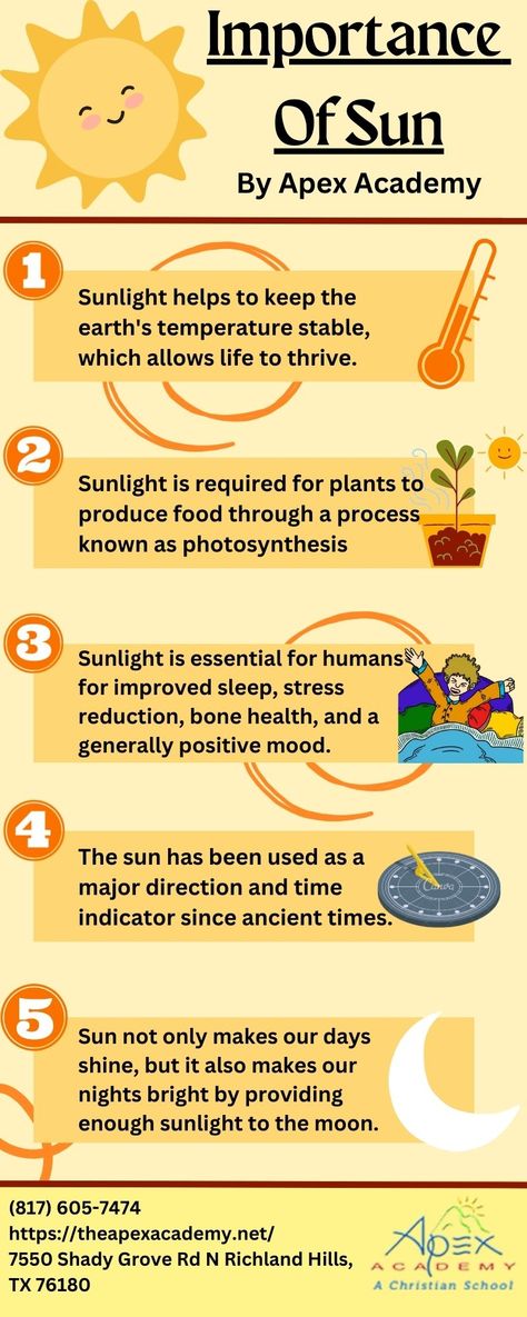 infographic (importance of sun) Sun Science Preschool, Sun Science Project, Sun Activities For Kids, Sun Facts For Kids, Sun Information, Sun Facts, Earth For Kids, Sun Science, Sun Activity