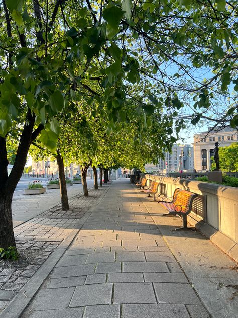 #park #green #tree #city #aesthetic #walking Public Park Aesthetic, City Walks Aesthetic, Walking Downtown Aesthetic, Park Walks Aesthetic, Walking Park Aesthetic, Walking In City Aesthetic, Nature Park Aesthetic, Long Walk Aesthetic, Walkable City Aesthetic