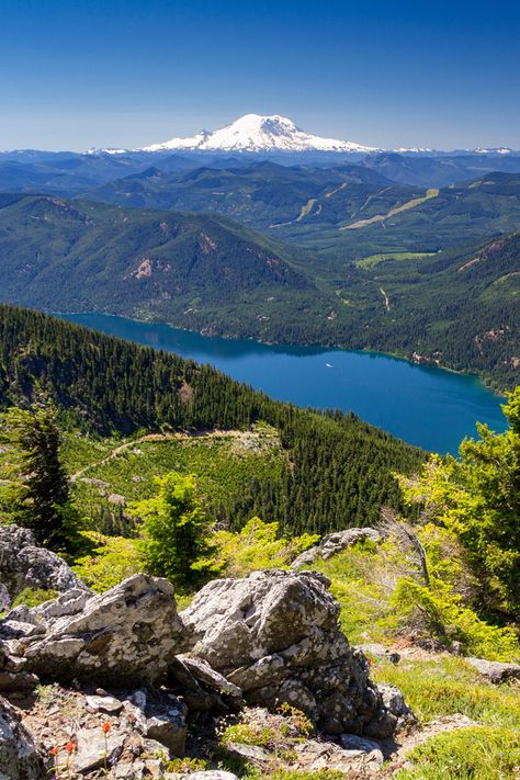 Beautiful Mountain View, Mountains In Summer, Woods And Mountains, View From Top Of Mountain, Mountains Images, Top Of Mountain, Mountain Ranges, Mountain Views, Mountain Top View