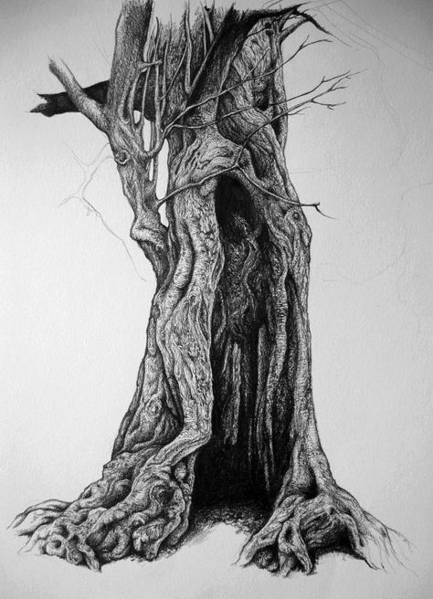 Tree Drawings, Music Notation, Tree Drawings Pencil, Tree Tattoo Designs, Experimental Music, Tree Sketches, Pencil Art Drawings, Landscape Drawings, Tree Drawing