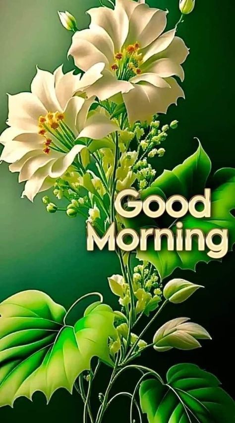 Good Morning Wishes In Tamil, Good Morning Wishes In English, Good Morning Wishes In Hindi, Friday Morning Greetings, Good Morning Wishes Love, Friday Good Morning, Good Morning Animated Images, Photos Of Good Night, Good Morning Wishes Gif