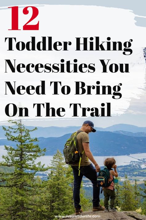 What gear do you need when hiking with a toddler? Be prepared to hit the trail with your child with our descriptive list of the 12 essential things you need when hiking with a toddler. Toddler Hiking Outfit, Hiking Necessities, Oregon Coast Roadtrip, Toddler Road Trip, Baby Hiking, Best Hiking Gear, Family Hike, Family Travel Hacks, Oregon Hikes