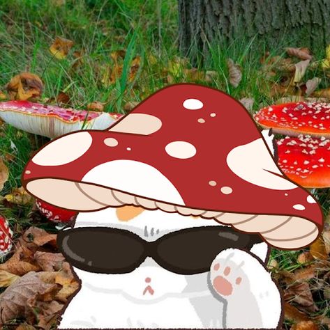 gorgeous Mushroom Profile Picture, Mushroom Pfp, Cats And Mushrooms, Cat And Mushroom, September Bujo, Cat Mushroom, Mushroom People, Forest Nymph, Cartoon Coloring