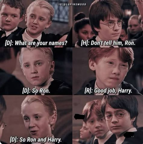 Hp Memes Funny, Facts About Harry Potter, Harry Potter Funny Tumblr, Meme Harry Potter, The Golden Snitch, Funny Harry Potter, Citate Harry Potter, Ron And Harry, Harry Potter Parody