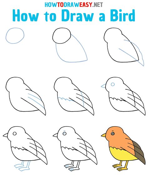 How to Draw a Bird Step by Step #Bird #BirdDrawing #EasyDrawingTutorial #Birds #Nature #EasyDrawing #HowtoDrawaBird #AnimalsDrawings #Sketch #DrawingforKids #ArtWork How To Draw Bird Eyes, How To Draw A Bird Step By Step, Birds On Tree Drawing, How To Draw A Bird, Draw A Bird Easy, Bird Drawing Easy, Drawing Easy Pencil, Simple Bird Drawing, Shading Pencil