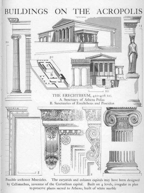 Buildings on the Acropolis, Athens, Greece Graphic History of Architecture by John Mansbridge Ancient Greece Architecture, History Of Architecture, Greece Architecture, Architecture Antique, Landscape Steps, Istoria Artei, The Acropolis, Ancient Greek Architecture, Architecture Sketchbook