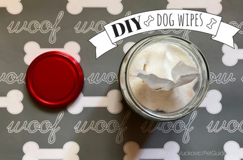 Dog Pads Care Diy, Diy Dog Wipes, Diy Eye Wash For Dogs, Dog Wipes Diy How To Make, Diy Dog Wipes Cleaning, Diy Pet Wipes Dogs, Wipes Diy, Dog Restaurant, Diy Wrinkles