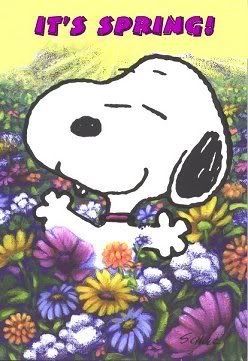 Snoopy loves Spring. Snoopy Springtime, Spring Snoopy, Peanuts Spring, Holiday Snoopy, Peanuts Easter, Snoopy Holiday, Woodstock Charlie Brown, Charlie Brown Quotes, Peanut Gang