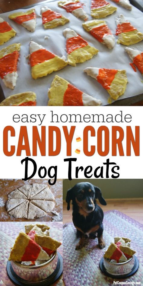 Candy Corn Dog Treats, Dog Treats Homemade Halloween, Halloween Dog Cookies, Halloween Dog Treats Recipes, Halloween For Dogs, Halloween Treats For The Office, Dog Halloween Treats, Fall Dog Treats, Pumpkin Dog Treat