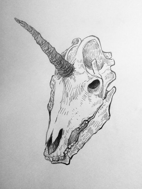 Horse Skull Sketch, Unicorn Skull Drawing, Moose Skull Drawing, Unicorn Sketch Pencil, Skull And Bones Drawing, Horse Skull Drawing, Animal Bones Drawing, Unicorn Skull Tattoo, Animal Skull Sketch