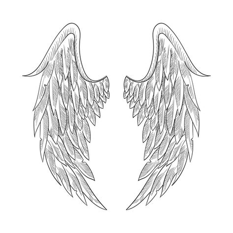 Vintage heraldic wing sketch. Doodle stylized bird wings. Hand drawn wing in open position. Angel wings sketch, Religious of Christianity hand drawn vector illustration sketch Back Of Angel Wings, Bird Open Wings, Angelic Sigils, Angel Wings Sketch, Angel Wing Drawing, Wing Sketch, Stylized Bird, Wings Sketch, Angel Wings Drawing