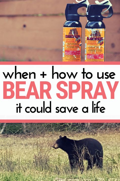 Bear Repellent, Vegan Homestead, Backpacking List, Hiking Safety, Bear Safety, Outdoor Skills, Solo Traveling, First Time Camping, Montana Vacation