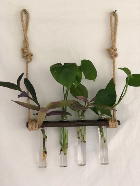 Hanging Propagation Station, Hanging Propagation, Hanging Plants Outdoor, Hanging Plants Diy, Indoor Plant Wall, Mom Things, Propagation Station, Plant Hanging, Greenhouse Ideas