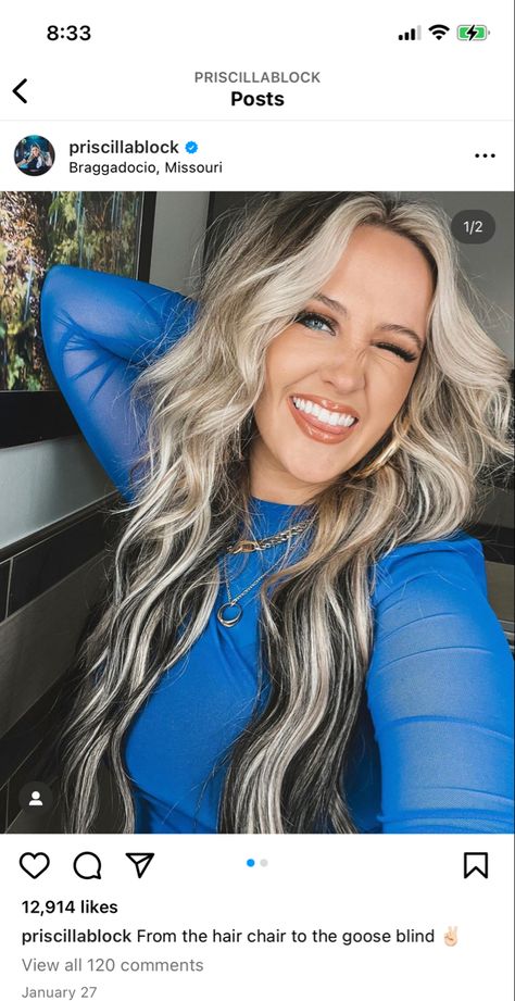 Priscilla Block Hair, Priscilla Block, Hair 101, Fun Hair, Country Stars, Cool Hair Color, Hair Colour, Hair Goals, New Hair